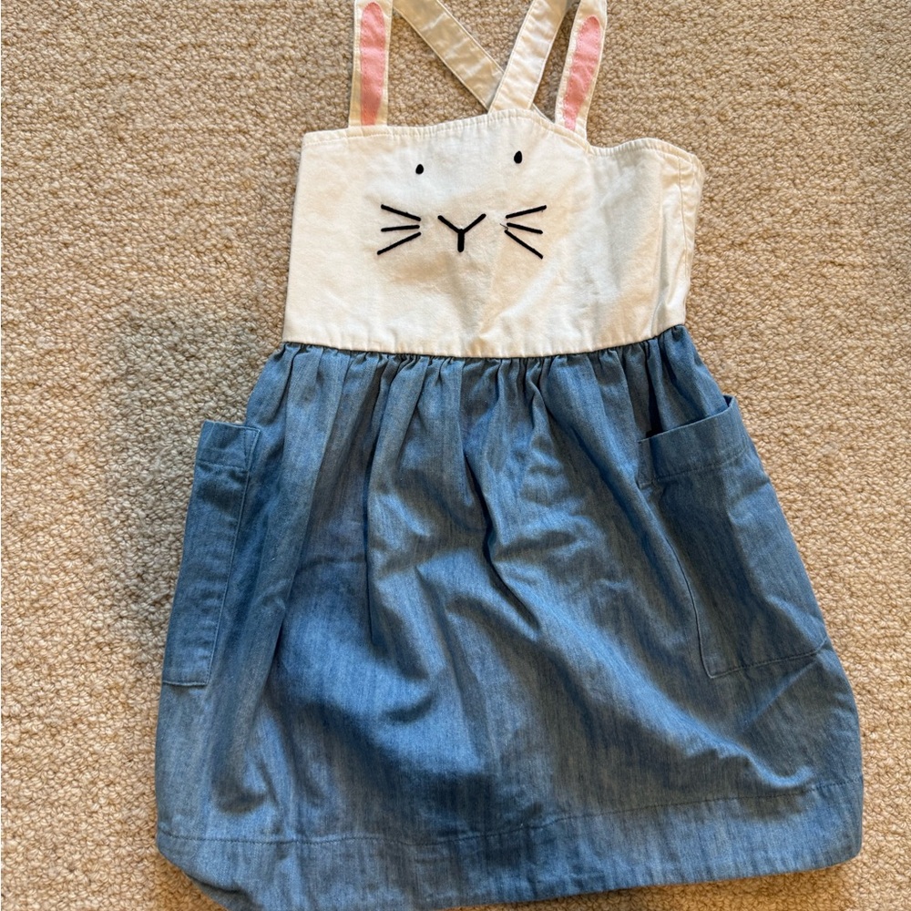 Hanna Anderson Dress